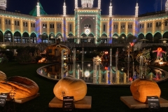 RAV-studietur-2021-14