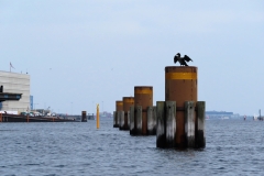 RAV-studietur-2021-31