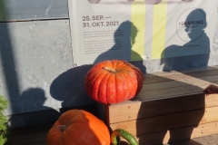 RAV-studietur-2021-58