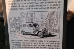 20250925_1544101-Kopi-scaled